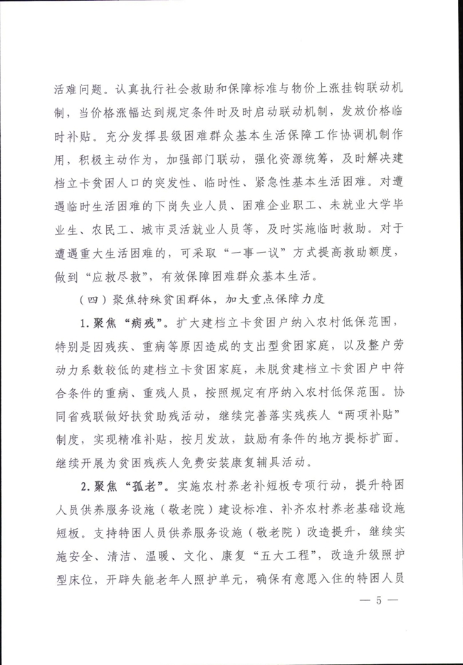 河南省民政廳關(guān)于鞏固脫貧成果有效防止返貧的實(shí)施意見(jiàn)_00005